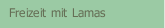 Freizeit mit Lamas